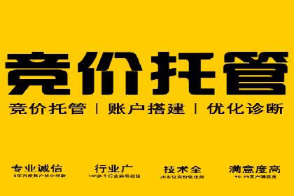 百度推广成本分析：成功案例揭秘